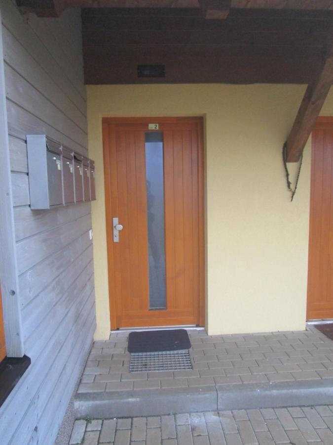 Ricky V Orlickych Horach