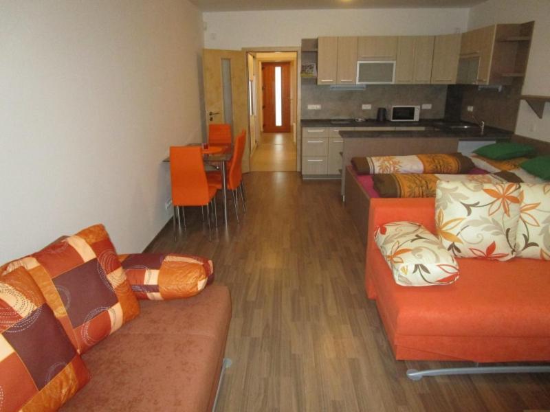 Apartment Ricky V Orlickych Horach