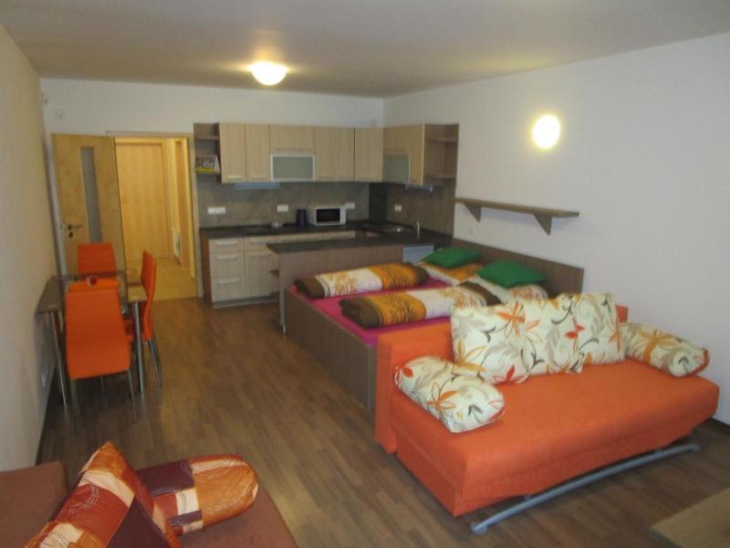 Apartment Ricky V Orlickych Horach