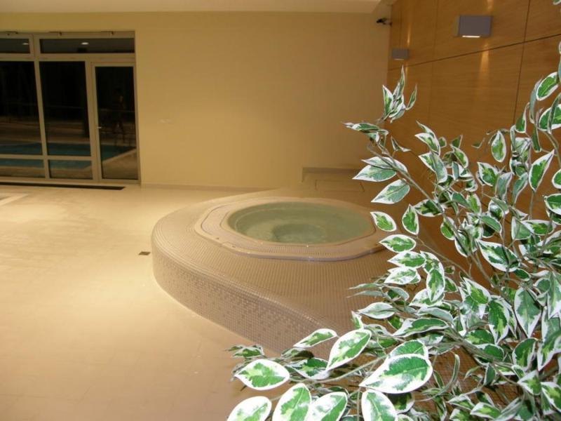 Apartment Ricky V Orlickych Horach *