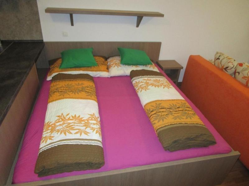 Apartment Ricky V Orlickych Horach Pustiny